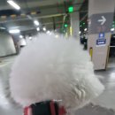 한솥 송파나루역점