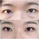 광안리속눈썹연장 LED속눈썹연장 한올한올 광안점 유지력 내돈내산 후기