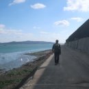 해조류센터 이미지