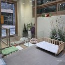 애니살롱 1호점 이미지