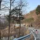 에코포스트(주) | 다자녀 할인되는 자연휴양림 경상북도편 문경 대야산과 경주 토함산