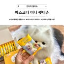 초초펫 | [강아지 물티슈] 미니사이즈 반려동물 전용 펫티슈 산책 필수템 추천, 마스코타 미니 펫티슈