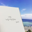 끼 Daum카페