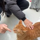 GS25봄내박물관 | 강원도 가족 여행 인제스피디움 패밀리스위트트윈 이용 후기