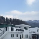 펫티움애견펜션 | 삼둥크로스 다섯이서 첫여행 홍천 펫티움 애견펜션