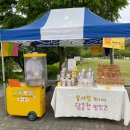 동그리솝 이미지