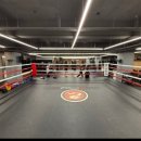 김포시 복싱연맹 이미지