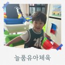 늘품 | 대전 가정방문 체육 추천 늘품유아체육 │ 아이 체험 솔직 후기