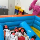 행복한 나라찬 태권도장 이미지