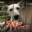 두상농장 이미지