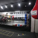 1994복싱 이미지