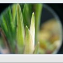 이유농장 이미지