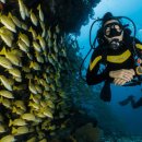 철민농장 | &#34;마이너 여행지에서 지역 화폐로 여행비 30% 절감한 비밀, 2025년 최신 정보 공개!&#34;