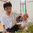 엄훠나🥰 콩나무 안된 콩나물이 온대요~ ❤️+댓글 🙏 이미지