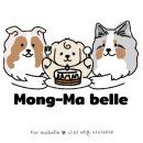 몽마루 시선뉴스