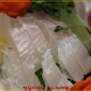 고미참치 Daum카페