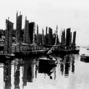 한강목장 이미지