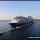 바하마 | 바하마 코코케이 방문 후기 (perfect day at cococay)