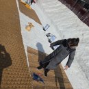 횡계초등학교 | 2026년 강원도 대관령 눈꽃축제 방문후기!!