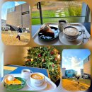 주식회사 피스피스 출판단지점 | 피스피스 출판단지점