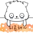 빈즈스튜디오