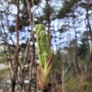 천안시산림조합임산물유통센터
