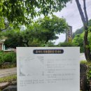 호식이 캠핑장 | 강원도 영월 계곡캠핑 / 호식이 캠핑장