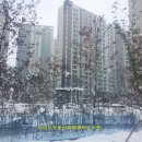 첫눈에부동산공인중개사사무소 이미지