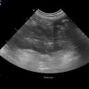 24시하나린동물의료센터 이미지