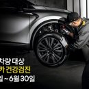 마이카코리아 머니투데이