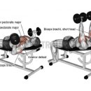 서호동-25 이미지