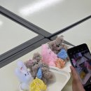 태전초등학교 이미지