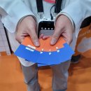 (주)애드앤텍 | 서울 세텍 궁팡 2025 궁디팡팡캣페스타 토요일 후기