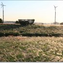 하늘공원 이미지