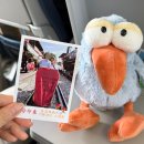 청주대학교박물관 | 4박 5일 타이베이 여행 / 여행준비(태교여행) : 비행기예약, 숙소(타이베이 가든 호텔), 일일투어(예스...