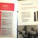 닥터스칼프제주점 네이버블로그