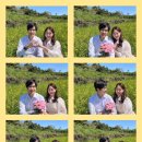 제주도 여행⑵, 제주 서귀포 셀프 웨딩스냅 장소 추천(갯무꽃, 유채꽃밭)