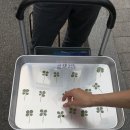 망고부동산공인중개사사무소 이미지