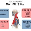 성공테니스