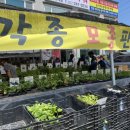 현대농약종묘사 네이버블로그