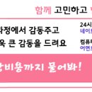 [대구유학원/부산유학원] 미국어학연수 LA어학연수 14주차~ 이미지