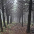 바우길 5구간 이미지