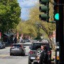 메이플 베이 (maple bay) 이미지