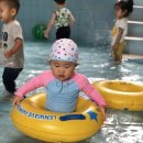 어푸어푸 이미지