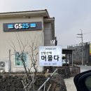 산방산 머물다 | 아기랑 제주도 유채꽃 명소 카페 소색채본 산방산 근처 주차는 헬