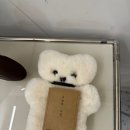 소중한오늘 사진관 이미지
