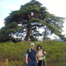 아무렴민박 이미지