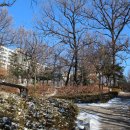 노원정보도서관 이미지