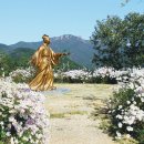 서포비치 이미지