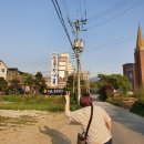 카페로사리아 이미지